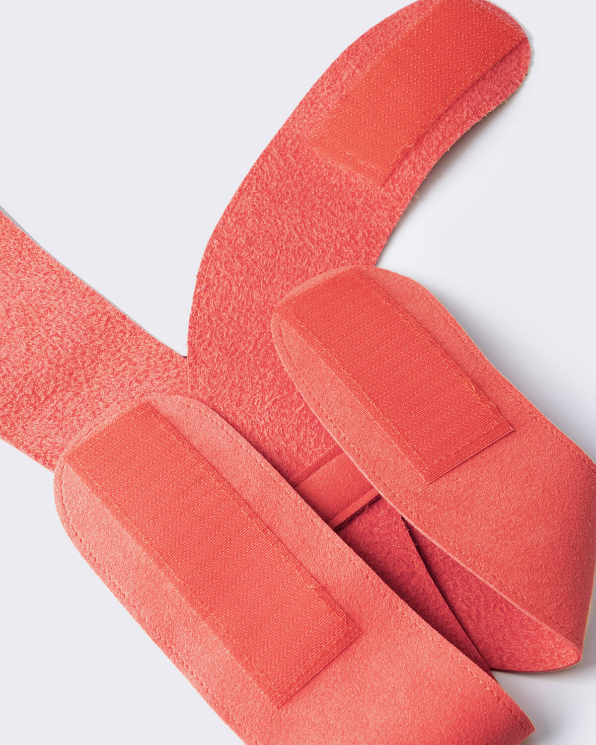 M+ All-Day Pet Harness